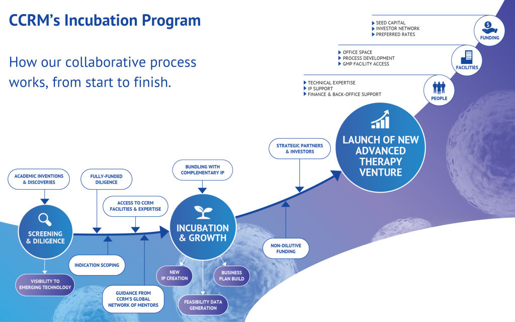 A diagram depicting how CCRM's academic incubation program works.